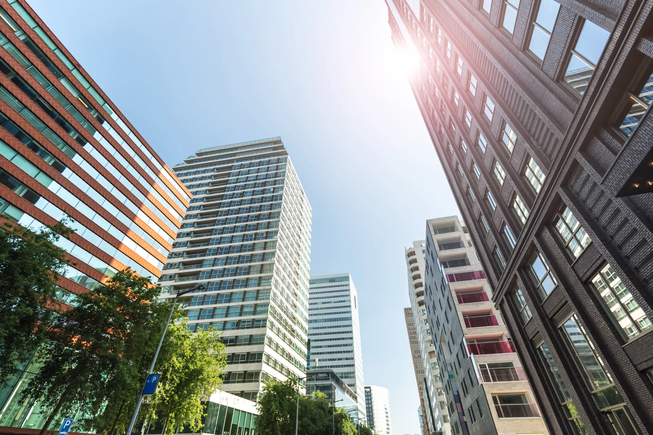 Choosing a Corporate Service Provider in the Netherlands: Why Businesses Trust NetherBridge Partners